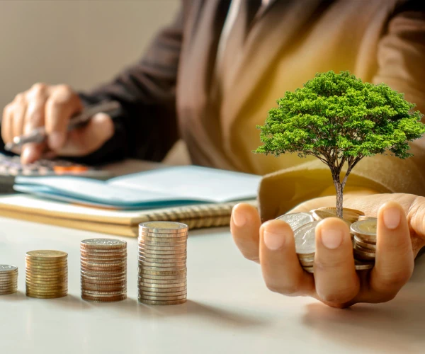 Arsa Değerleme ve Fizibilite Raporları