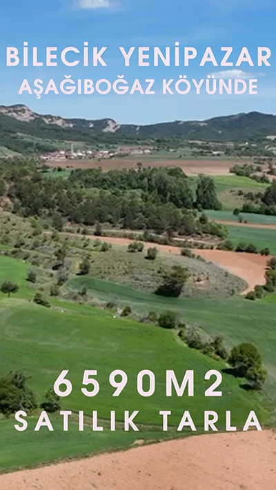 Yatırım Stratejisi Video