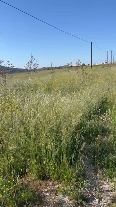 Yatırım Tavsiyesi Video