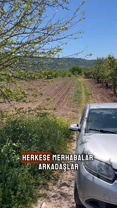 Bölge Analizi Video