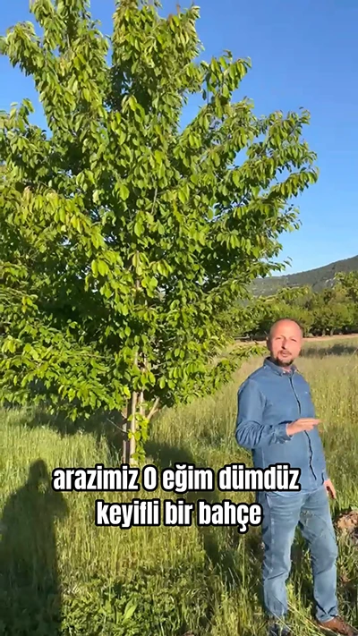 Ücret Karşılaştırma Video